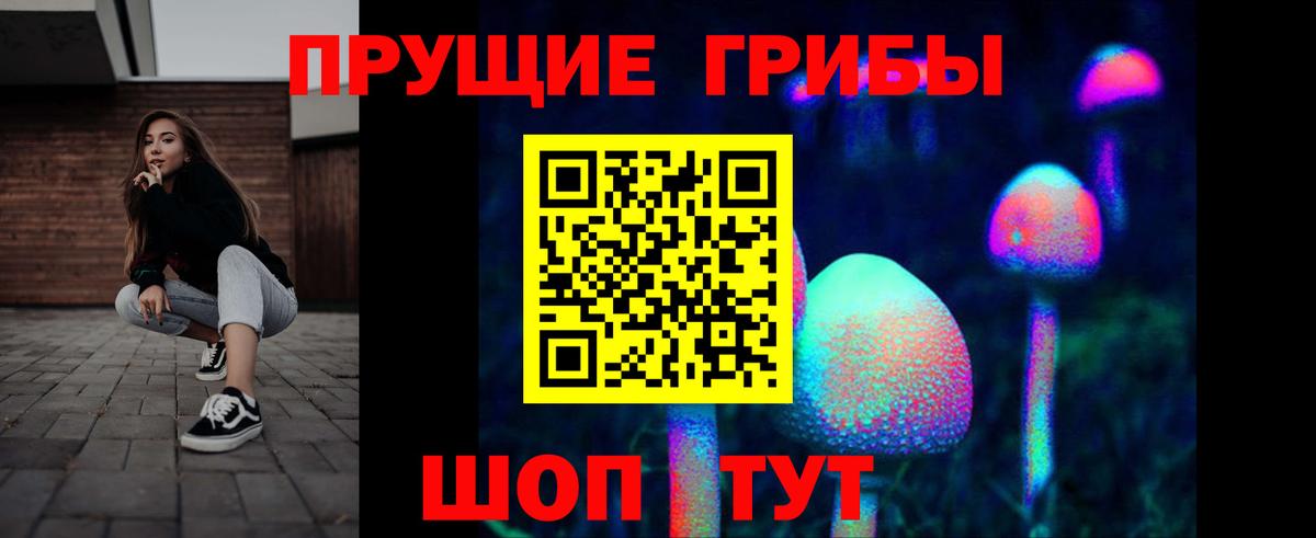 Алексеевка  Галлюциногенные грибы Psilocybe  купить наркотик  Вход с VPN  Псилоцибиновые грибы Psilocybine cubensis 